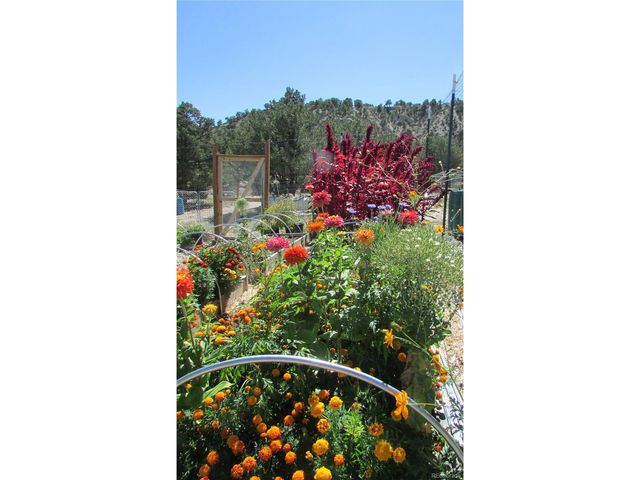 8960 County Road 164, Salida, CO 81201