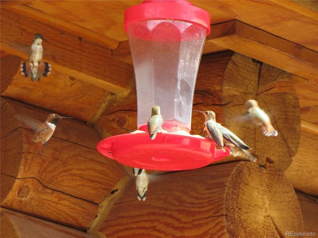 8960 County Road 164, Salida, CO 81201