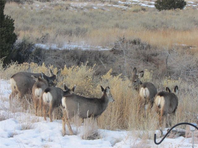 8960 County Road 164, Salida, CO 81201