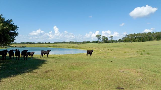 00 SW 220TH AVE, Dunnellon, FL 34431