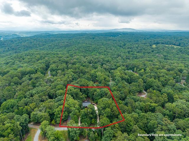 460 Pasha Drive, Ellijay, GA 30540