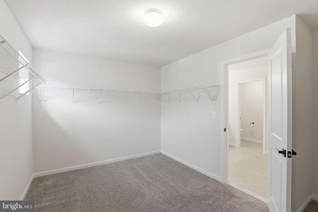 11425 BLUESTEM WAY, Fredericksburg, VA 22407