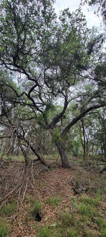 1391 Covered Wagon, Spring Branch, TX 78070