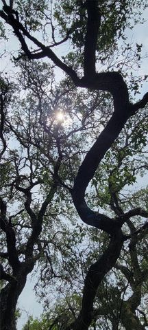 1391 Covered Wagon, Spring Branch, TX 78070