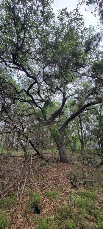 1391 Covered Wagon, Spring Branch, TX 78070