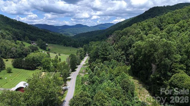 TBD Paint Fork Road, Barnardsville, NC 28709