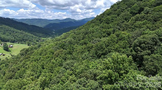 TBD Paint Fork Road, Barnardsville, NC 28709