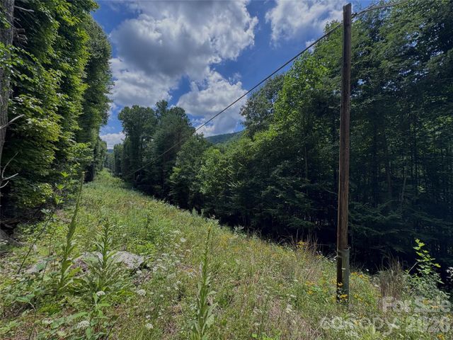 TBD Paint Fork Road, Barnardsville, NC 28709