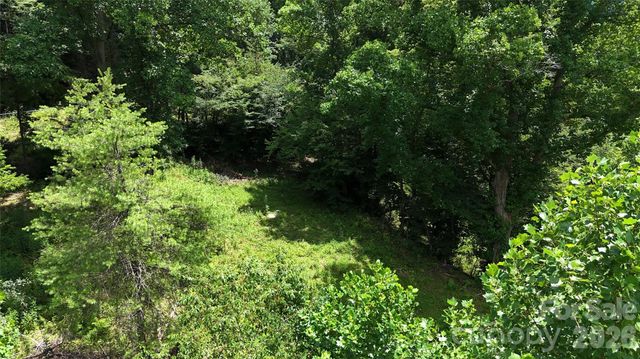 TBD Paint Fork Road, Barnardsville, NC 28709