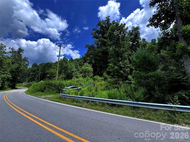 TBD Paint Fork Road, Barnardsville, NC 28709