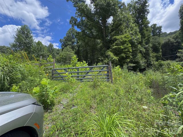 TBD Paint Fork Road, Barnardsville, NC 28709