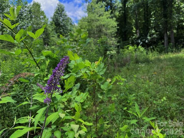 TBD Paint Fork Road, Barnardsville, NC 28709