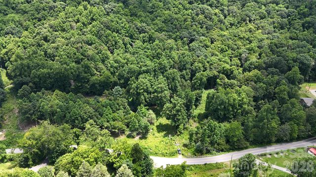 TBD Paint Fork Road, Barnardsville, NC 28709