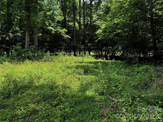 TBD Paint Fork Road, Barnardsville, NC 28709