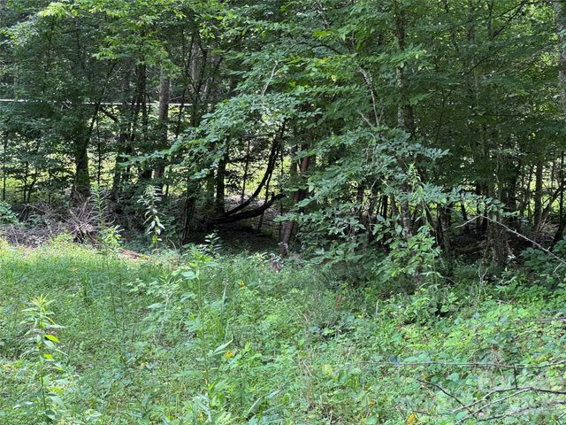 TBD Paint Fork Road, Barnardsville, NC 28709