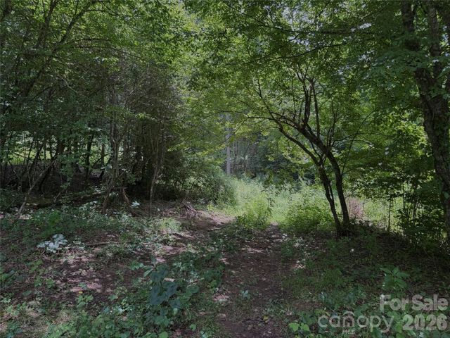 TBD Paint Fork Road, Barnardsville, NC 28709