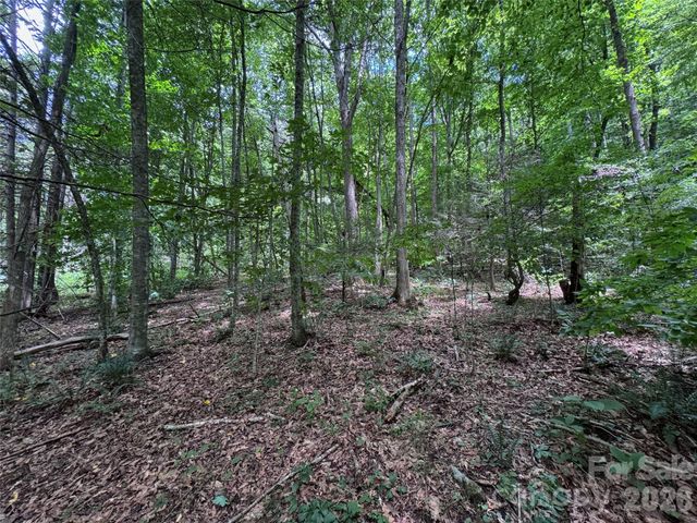 TBD Paint Fork Road, Barnardsville, NC 28709