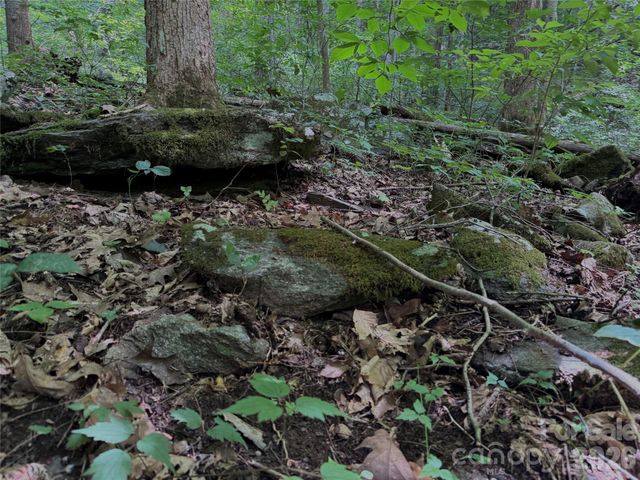 TBD Paint Fork Road, Barnardsville, NC 28709