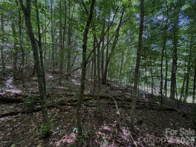 TBD Paint Fork Road, Barnardsville, NC 28709