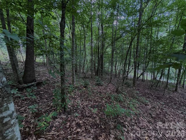 TBD Paint Fork Road, Barnardsville, NC 28709