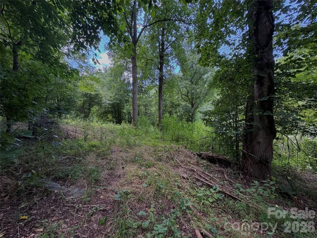 TBD Paint Fork Road, Barnardsville, NC 28709