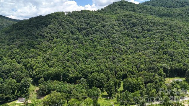 TBD Paint Fork Road, Barnardsville, NC 28709