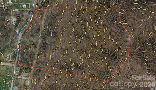 TBD Paint Fork Road, Barnardsville, NC 28709