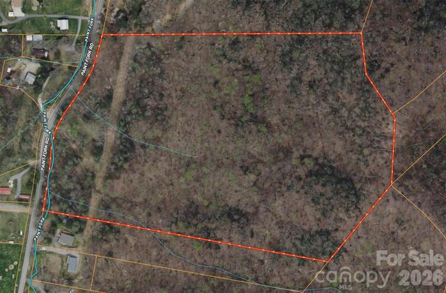 TBD Paint Fork Road, Barnardsville, NC 28709
