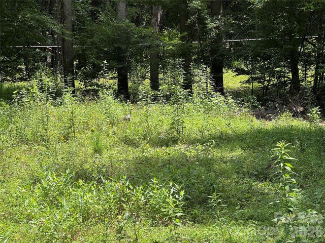 TBD Paint Fork Road, Barnardsville, NC 28709