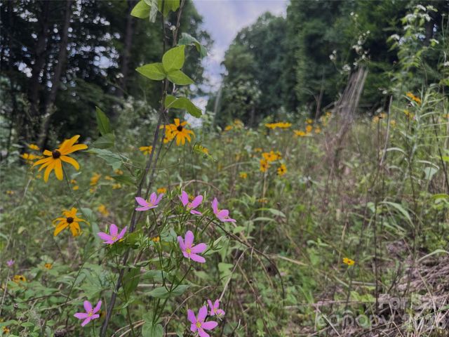 TBD Paint Fork Road, Barnardsville, NC 28709