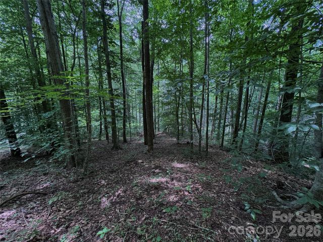 TBD Paint Fork Road, Barnardsville, NC 28709