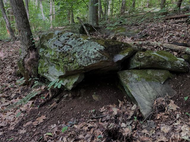 TBD Paint Fork Road, Barnardsville, NC 28709
