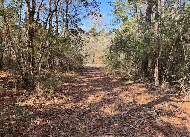 24728 Shady Oaks Blvd, Montgomery, TX 77316