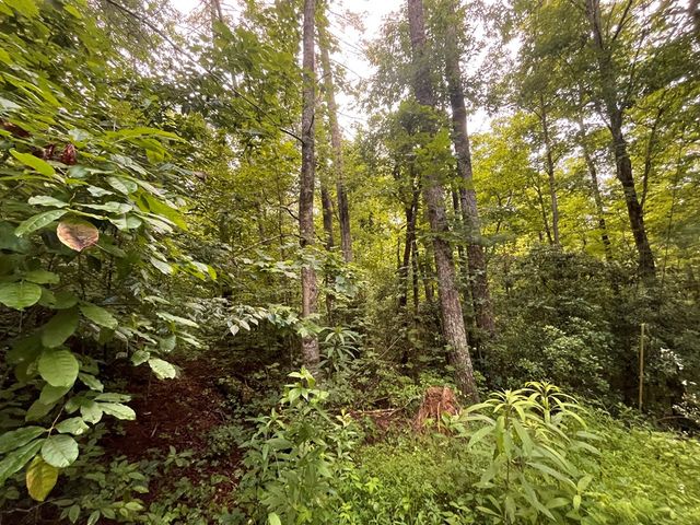 Lt 33 Brook Court, Ellijay, GA 30540