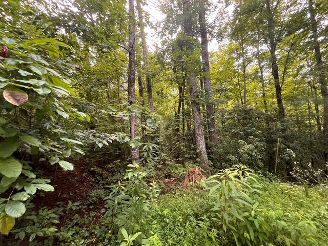 Lt 33 Brook Court, Ellijay, GA 30540