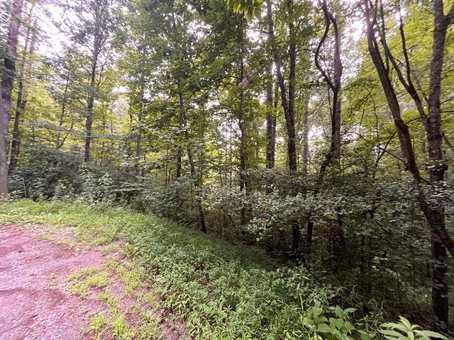 Lt 33 Brook Court, Ellijay, GA 30540