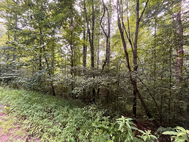 Lt 33 Brook Court, Ellijay, GA 30540
