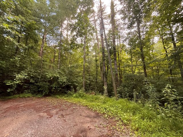 Lt 33 Brook Court, Ellijay, GA 30540