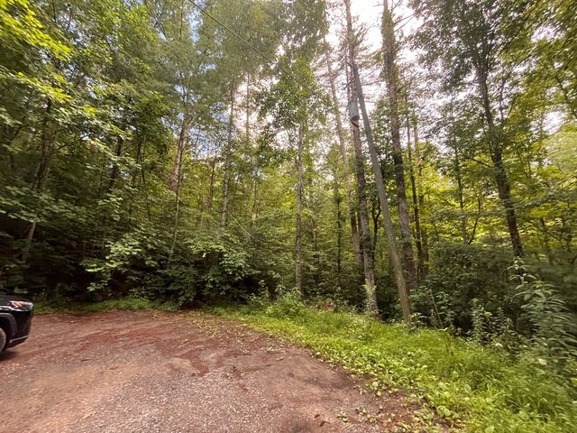 Lt 33 Brook Court, Ellijay, GA 30540