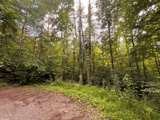 Lt 33 Brook Court, Ellijay, GA 30540