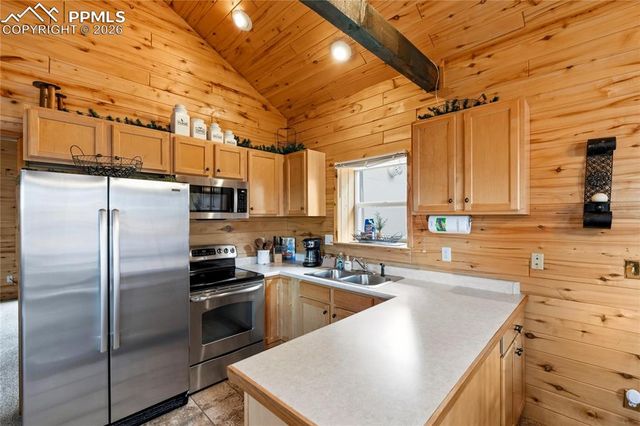 526 Wakanda Trail, Woodland Park, CO 80863