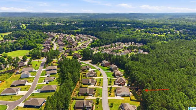 535 DOSS FERRY PARKWAY, Kimberly, AL 35091
