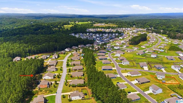 535 DOSS FERRY PARKWAY, Kimberly, AL 35091