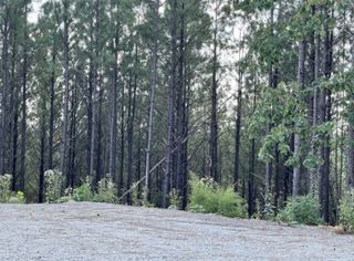 149 Highland Dr, Linden, TN 37096