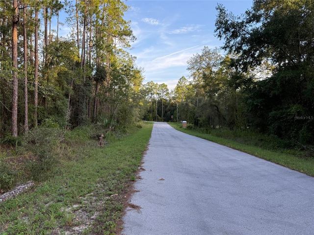 TBD SW SOUTH WATER COURT, Dunnellon, FL 34431