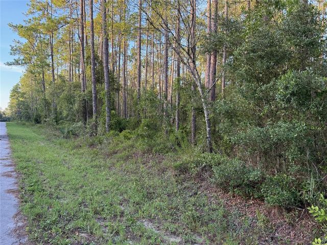 TBD SW SOUTH WATER COURT, Dunnellon, FL 34431