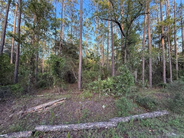 TBD SW SOUTH WATER COURT, Dunnellon, FL 34431