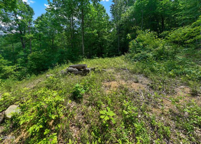 811 San Remo Drive, Gatlinburg, TN 37738