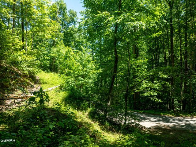 811 San Remo Drive, Gatlinburg, TN 37738