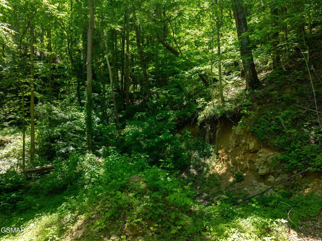 811 San Remo Drive, Gatlinburg, TN 37738